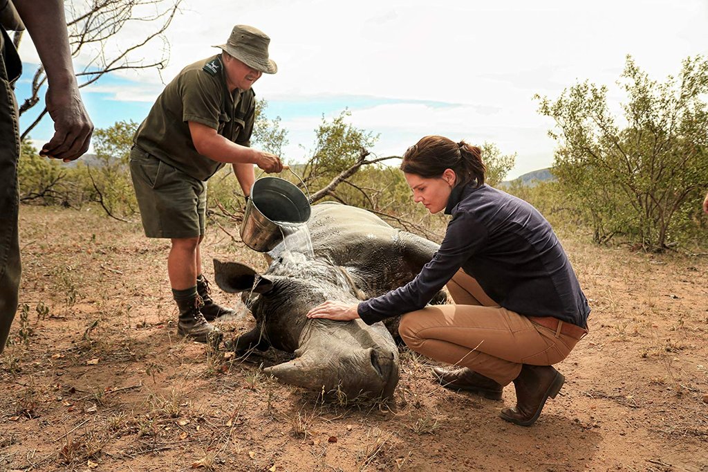 Photo du film Stroop: Journey into the Rhino Horn War
