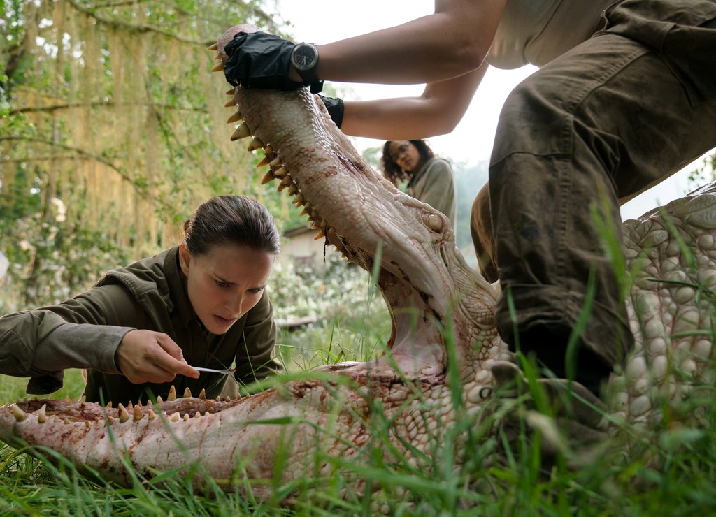 Photo from the movie Annihilation
