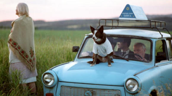 Photo from the movie Everything Is Illuminated