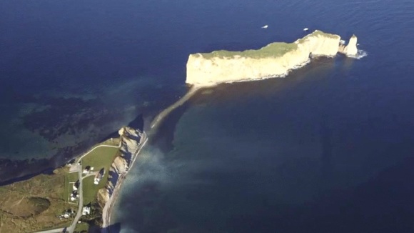 Photo du film L'Or du golfe