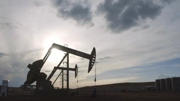 Photo du film L'Or du golfe