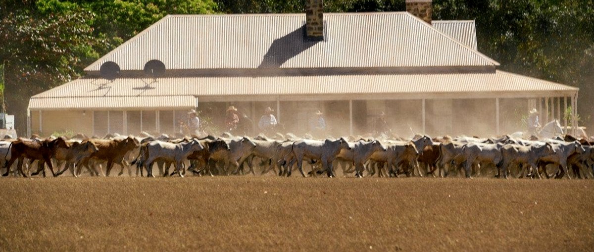 Photo du film Territory [2024]