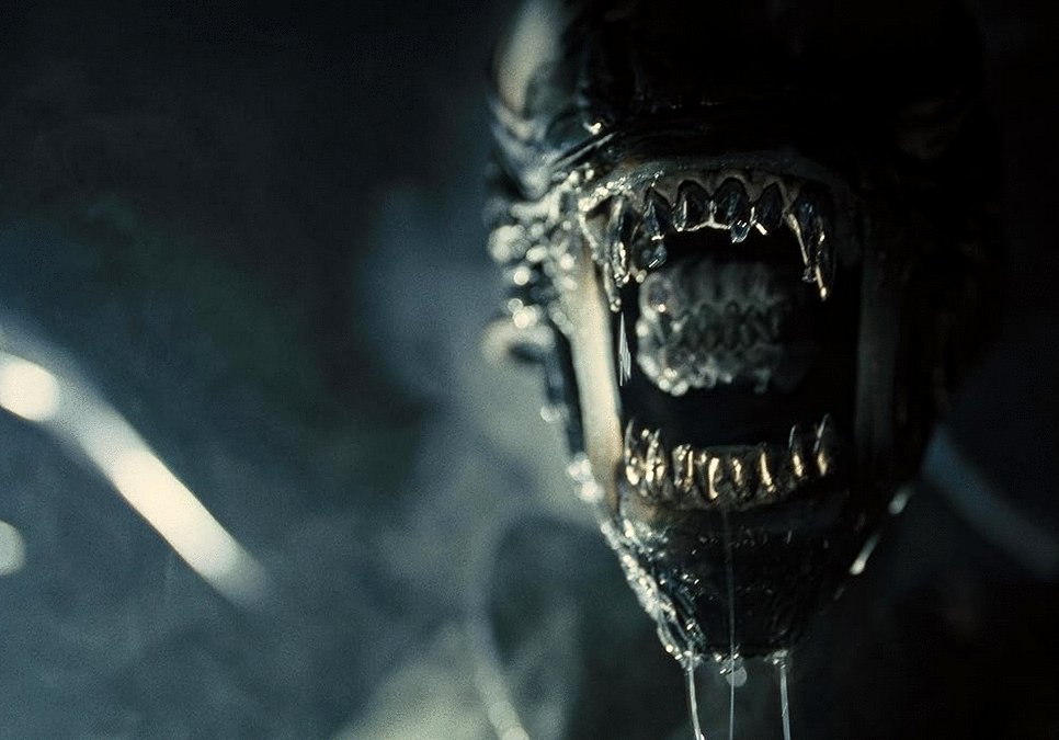 Photo du film Alien: Romulus