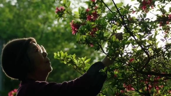 Photo from the movie Sweet Bean [2015]