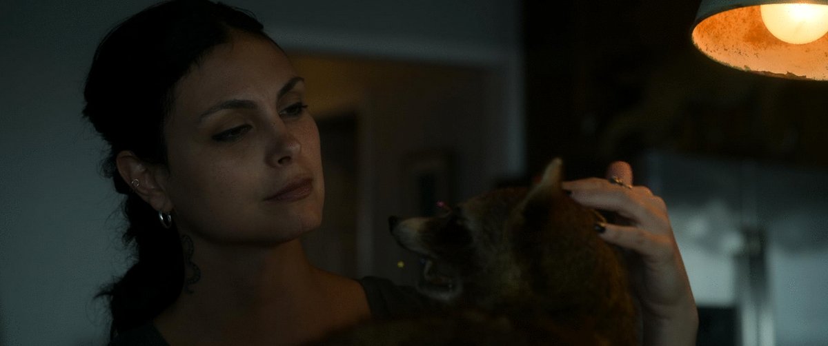 Photo du film Fast Charlie