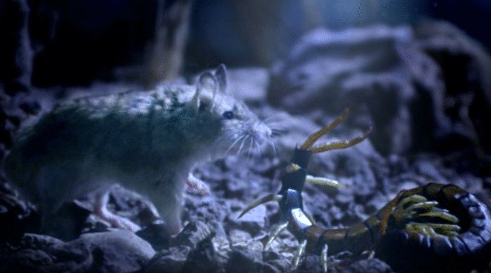 Photo from the movie Tiny Giants