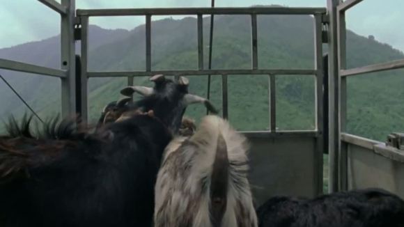 Photo du film Manakamana [2013]