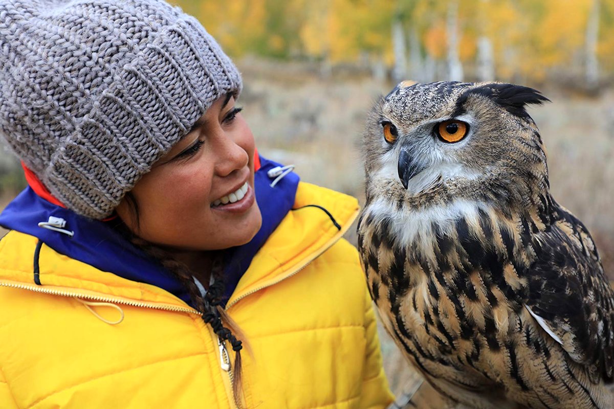 Photo du film Into America's Wild