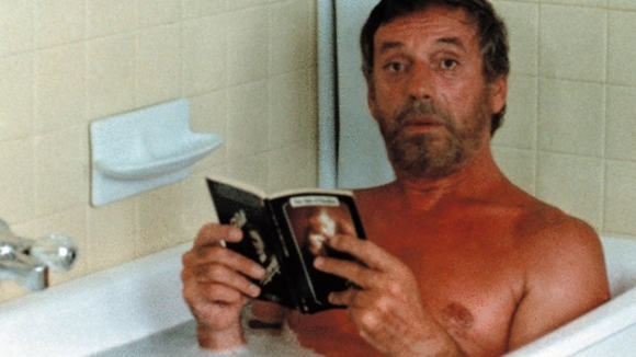 Photo from the movie Le Sauvage