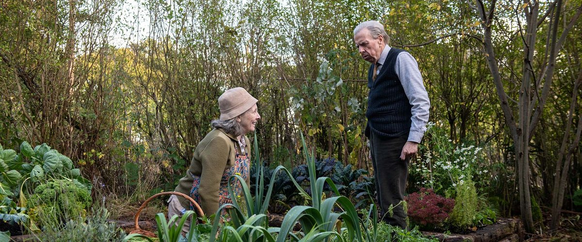 Photo du film The Last Bus [2021]