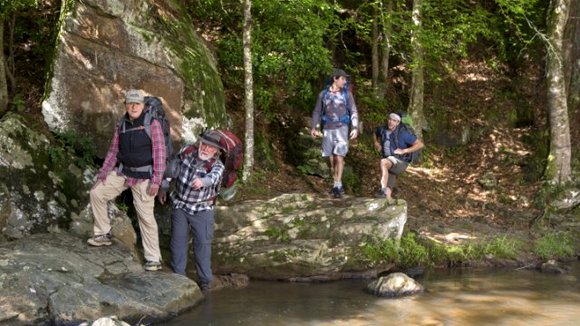Photo du film Promenons-nous dans les bois