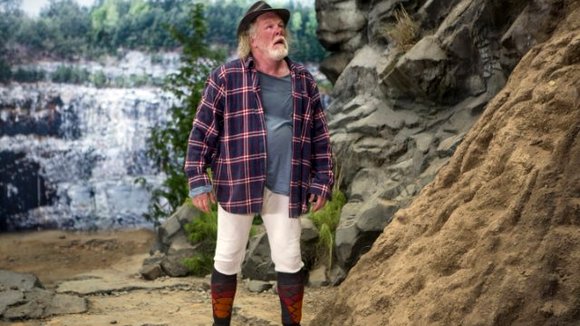 Photo du film Promenons-nous dans les bois