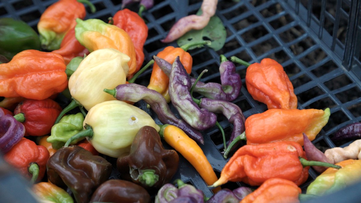 Photo from the movie Le goût des choses