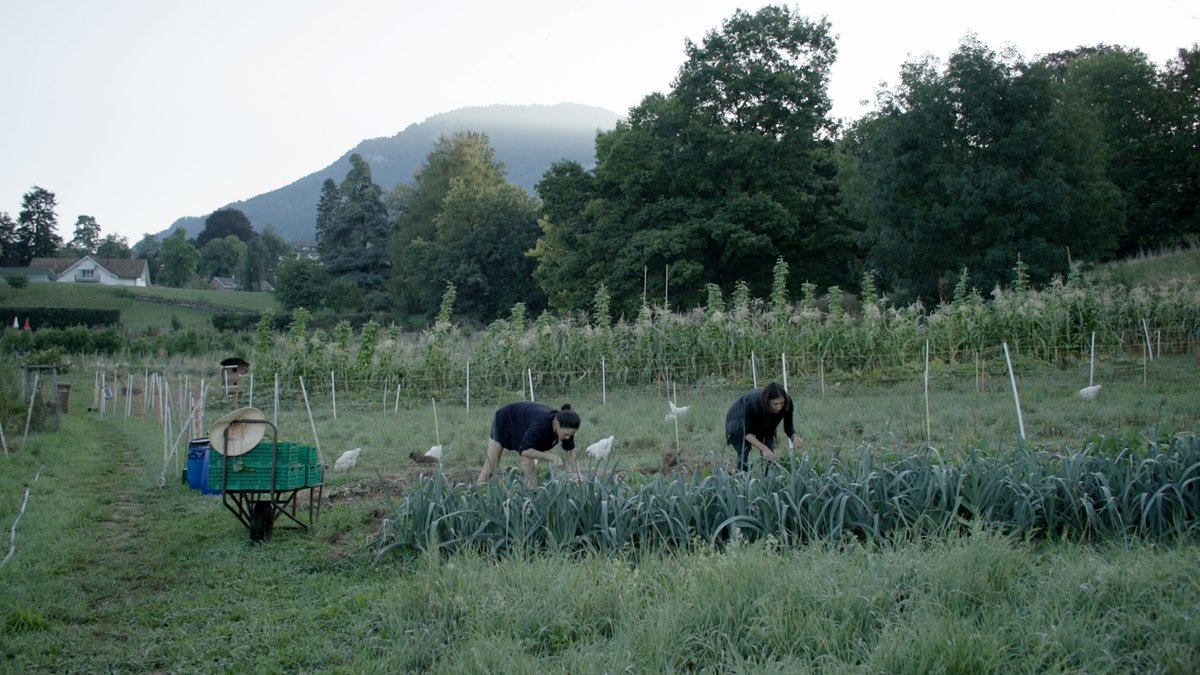 Photo from the movie Le goût des choses