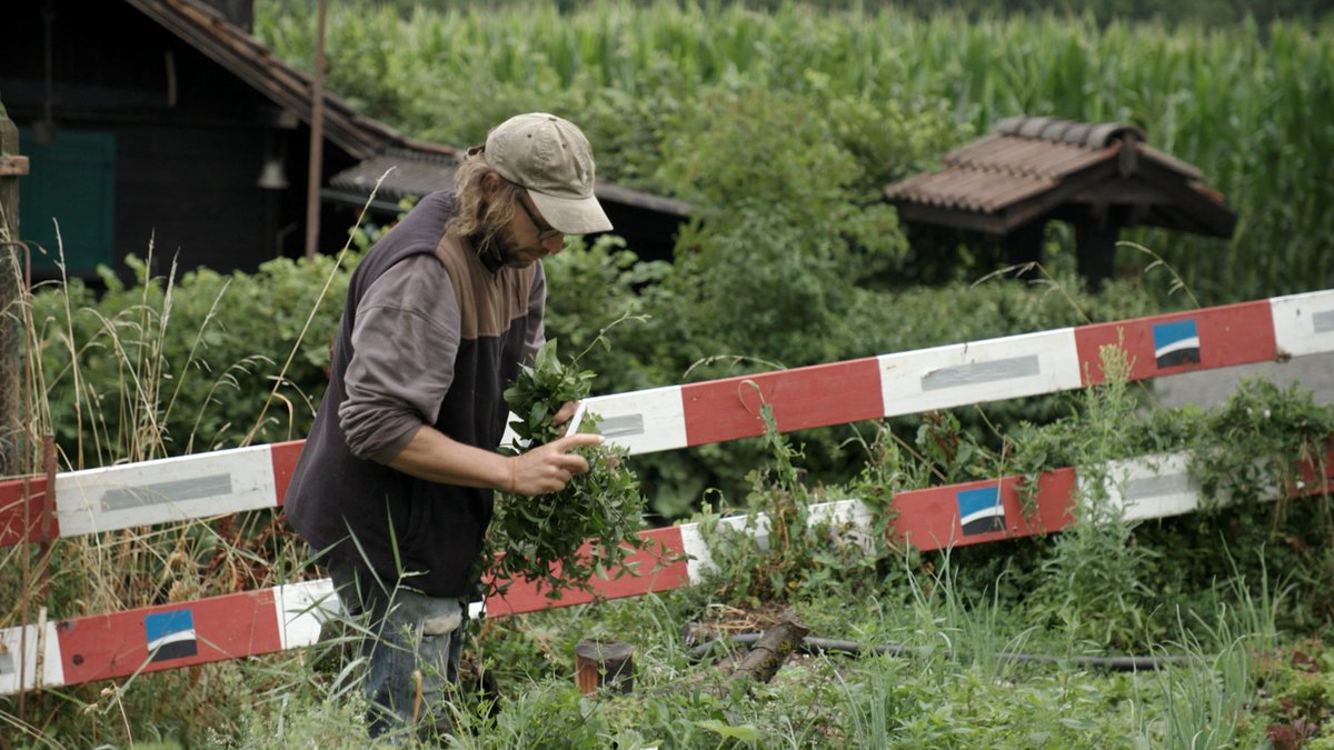 Photo from the movie Le goût des choses