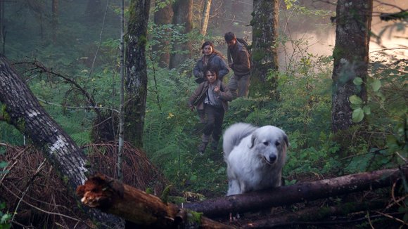 Photo from the movie Belle & Sebastian: The Adventure Continues