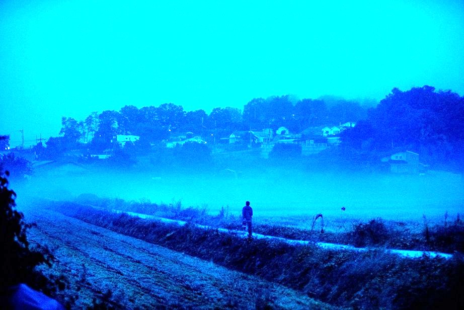 Photo from the movie Burning