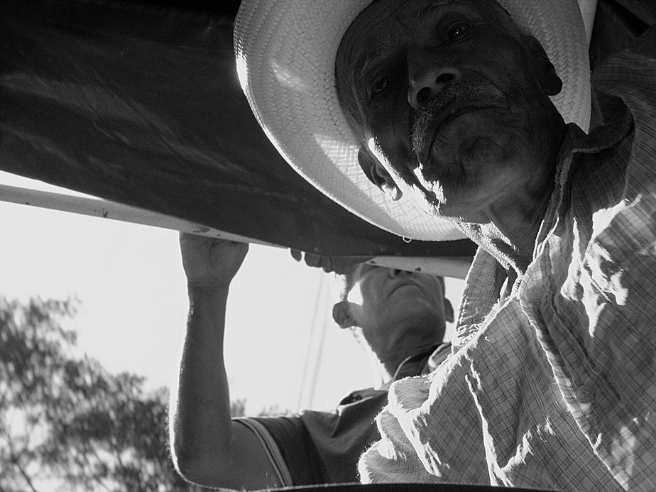 Photo du film Soleils Noirs [2018]