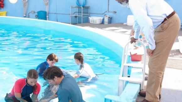 Photo from the movie Dolphin Tale