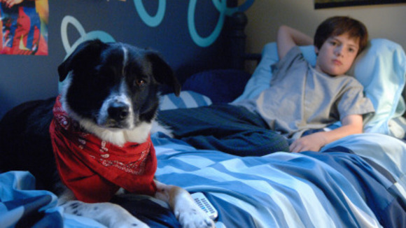 Photo du film Mon ami Finn