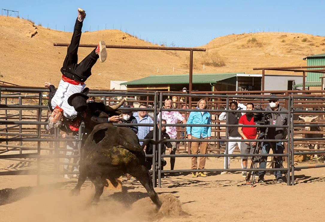 Photo from the movie Jackass Forever