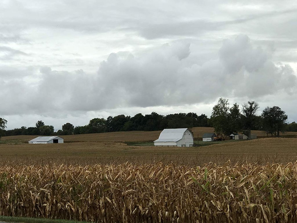 Photo from the movie Monrovia, Indiana [2018]