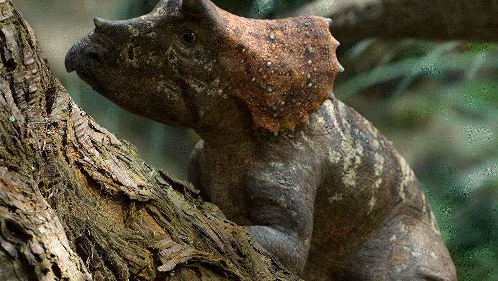 Photo from the movie Planète préhistorique