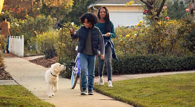 Photo du film Puppy Place [2021]