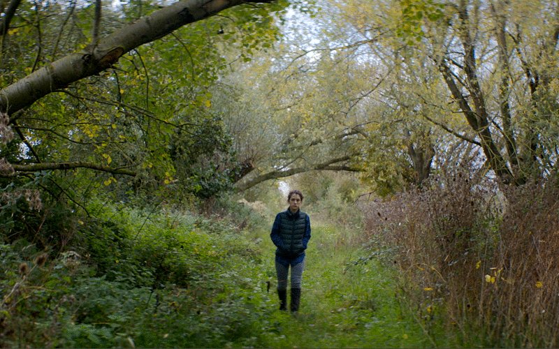 Photo du film The Levelling