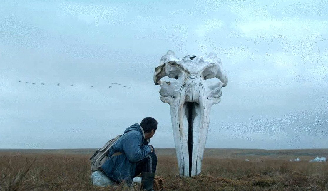 Photo from the movie The Whaler Boy [2020]