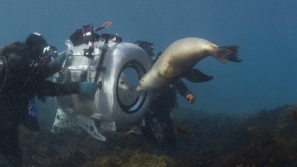 Photo du film Merveilles des mers