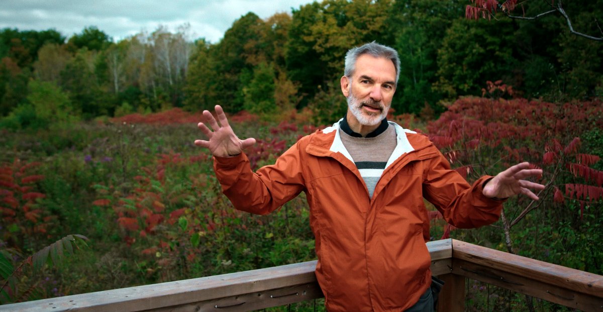 Photo from the movie Forêts urbaines
