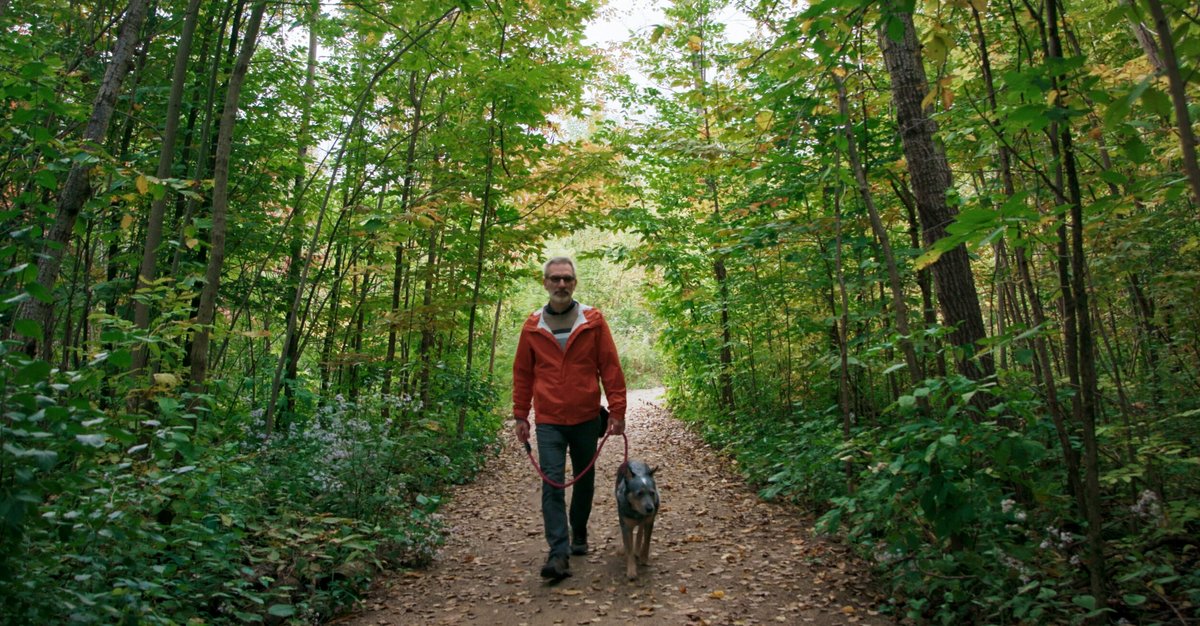 Photo from the movie Forêts urbaines