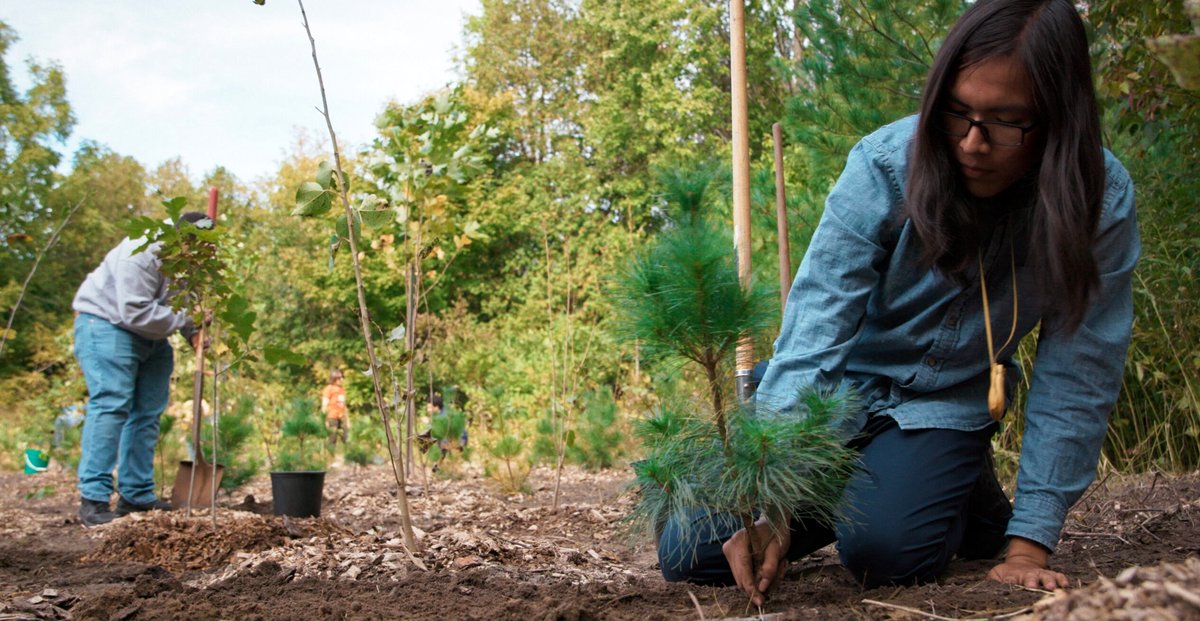 Photo from the movie Forêts urbaines