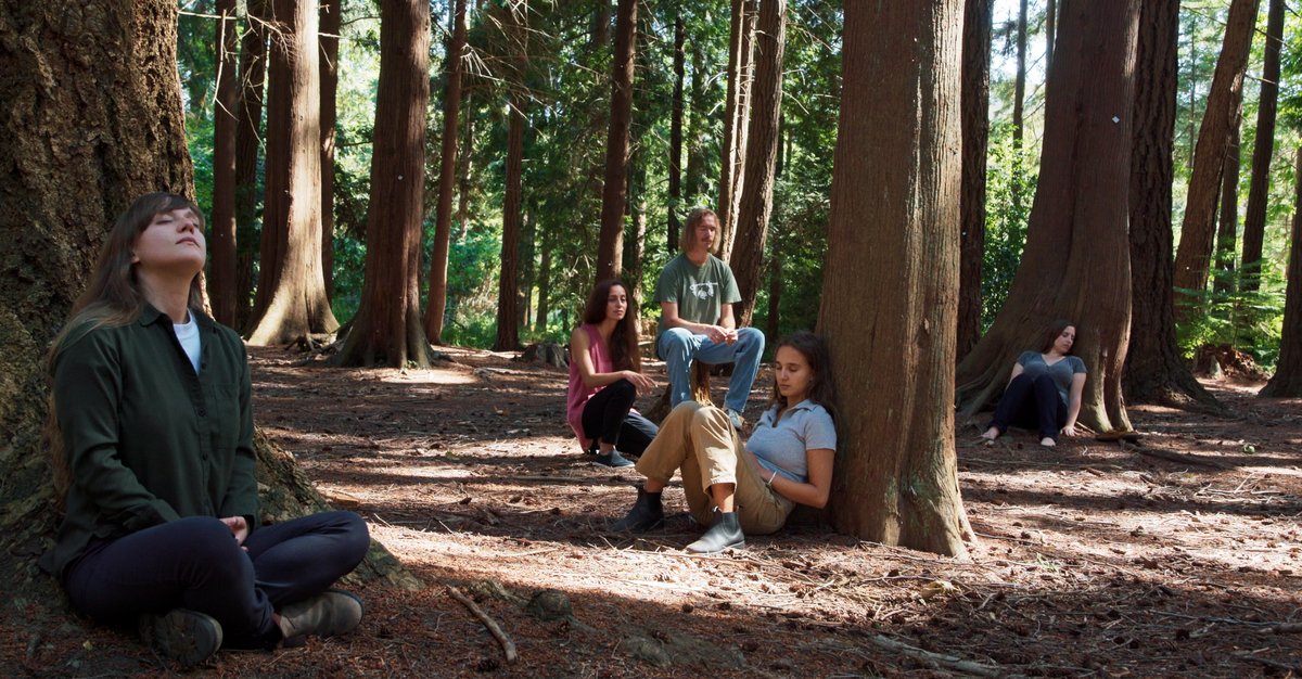 Photo from the movie Forêts urbaines