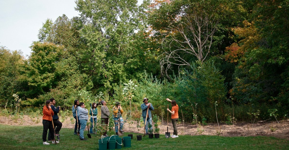 Photo from the movie Forêts urbaines