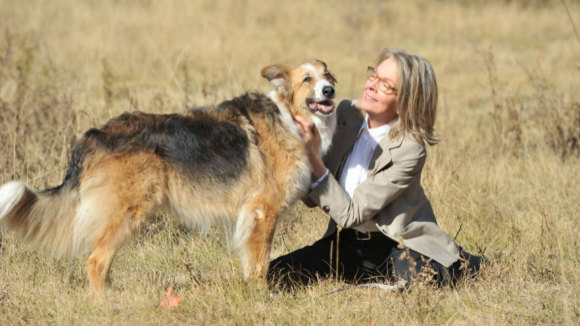 Photo from the movie Darling Companion