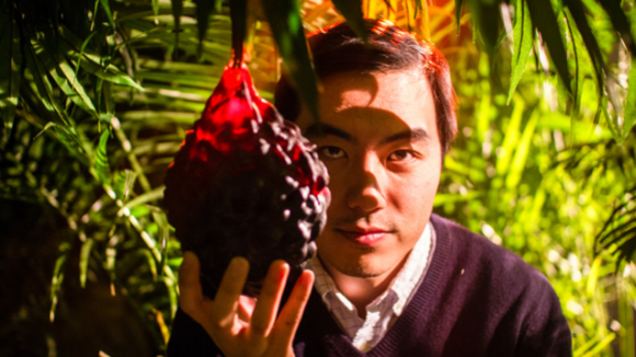 Photo du film Chasseurs de fruits