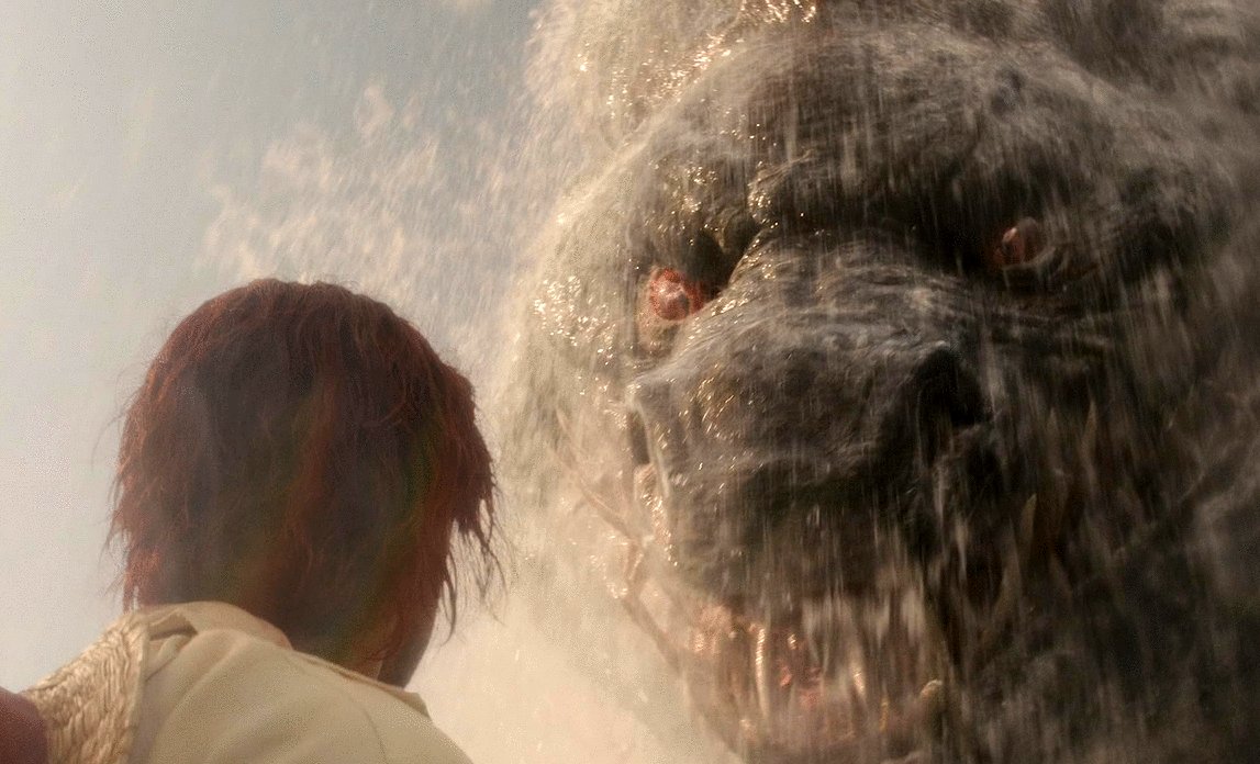 Photo du film One Piece