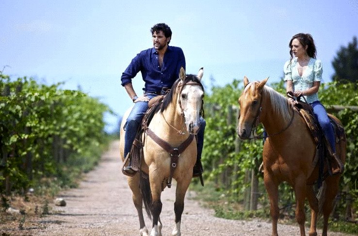 Photo du film Raise a Glass to Love