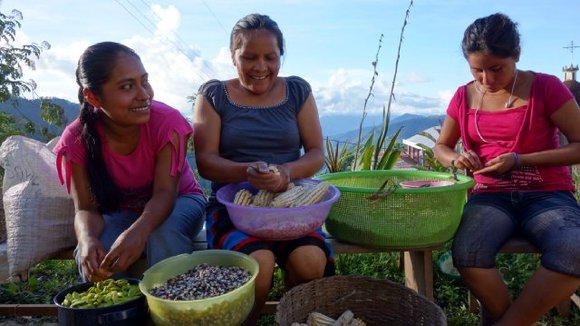 Photo du film Seed: The Untold Story