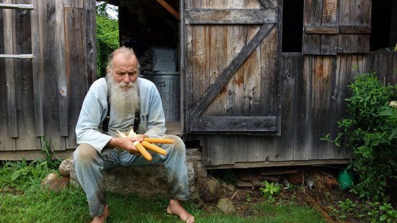 Photo du film Seed: The Untold Story