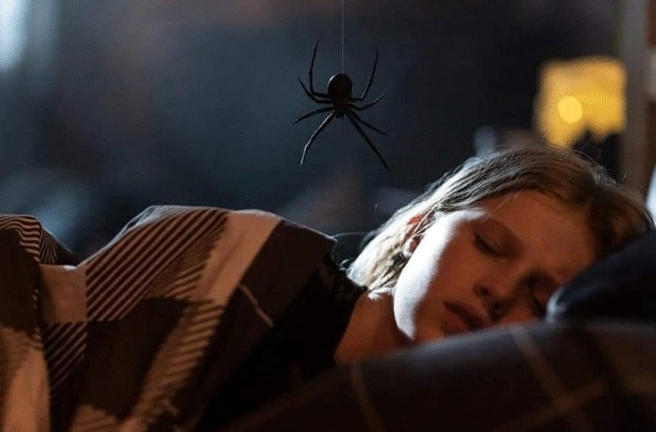 Photo du film Sting [2024]