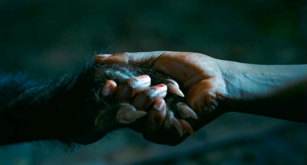 Photo du film As Boas Maneiras [2017]