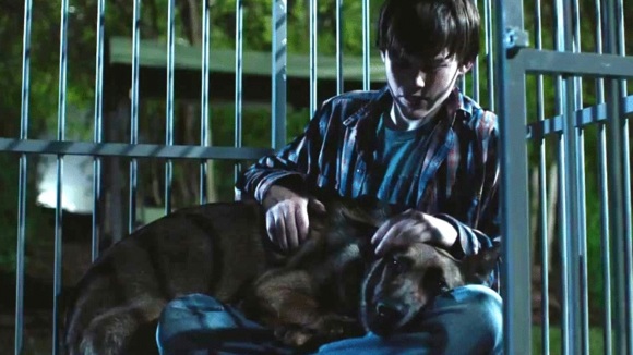 Photo from the movie Max