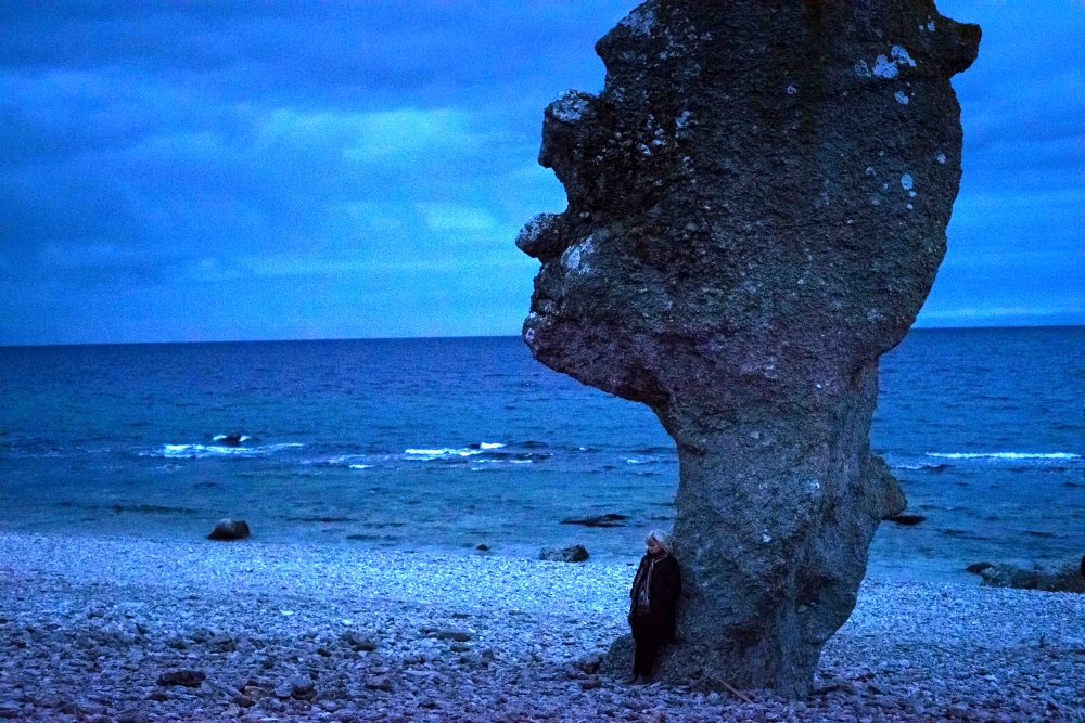 Photo du film À la recherche d'Ingmar Bergman