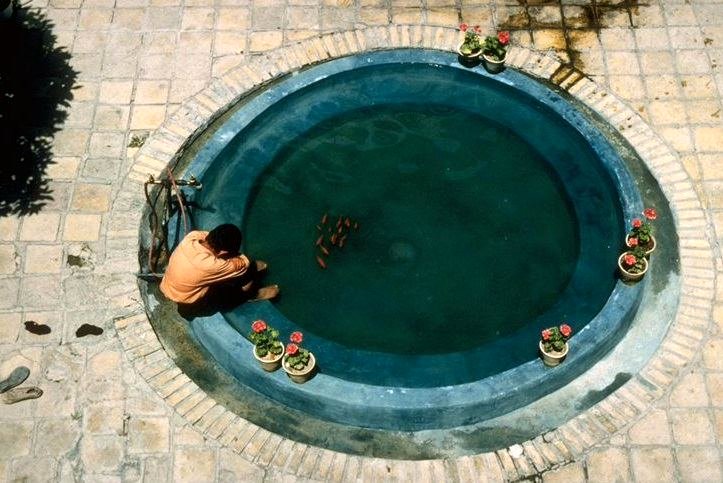 Photo du film The Children of Heaven