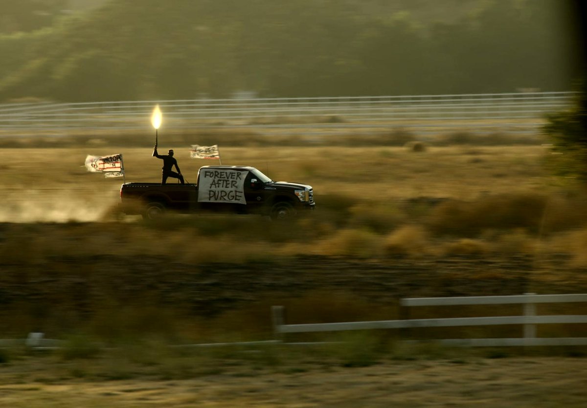 Photo du film La purge éternelle