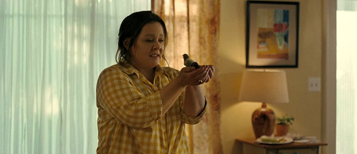 Photo du film The Starling