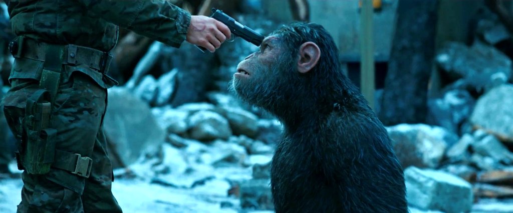 Photo du film La Guerre de la Planète des Singes